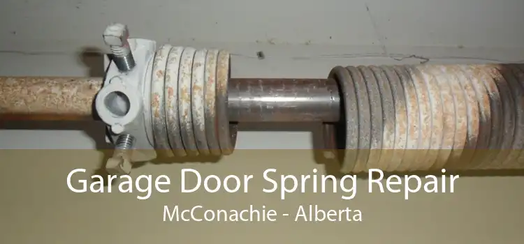 Garage Door Spring Repair McConachie - Alberta