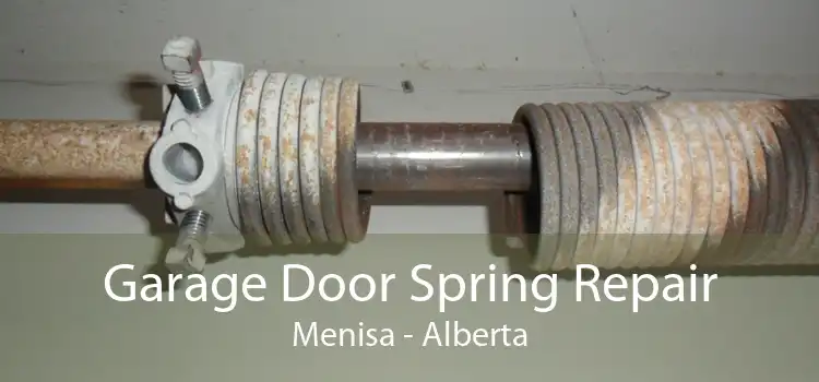 Garage Door Spring Repair Menisa - Alberta