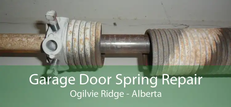 Garage Door Spring Repair Ogilvie Ridge - Alberta