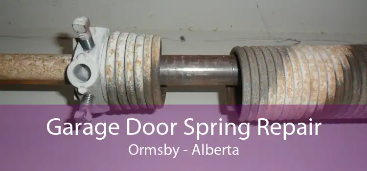 Garage Door Spring Repair Ormsby - Alberta