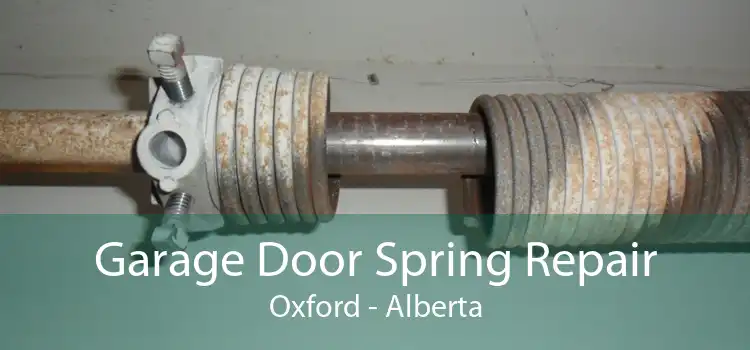 Garage Door Spring Repair Oxford - Alberta