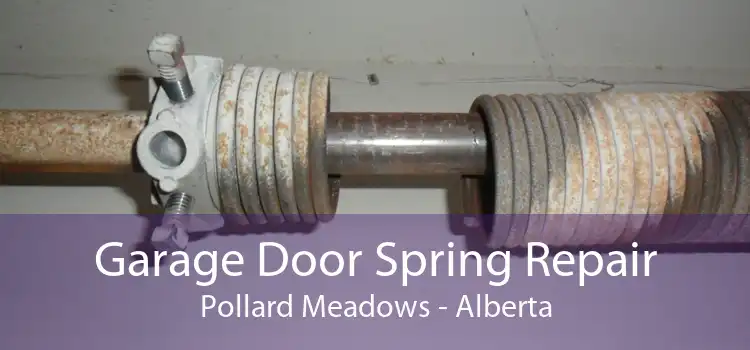 Garage Door Spring Repair Pollard Meadows - Alberta