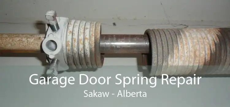 Garage Door Spring Repair Sakaw - Alberta