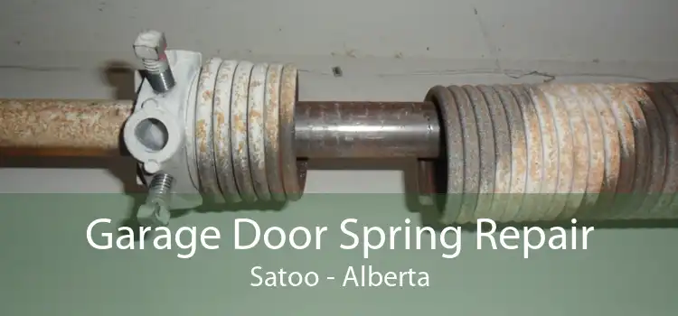 Garage Door Spring Repair Satoo - Alberta