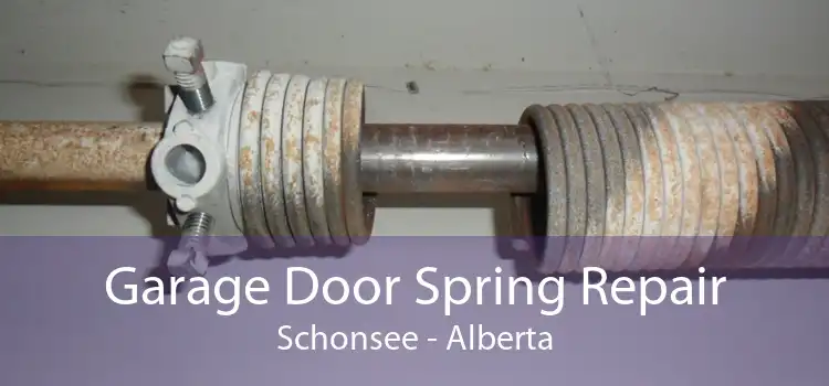 Garage Door Spring Repair Schonsee - Alberta