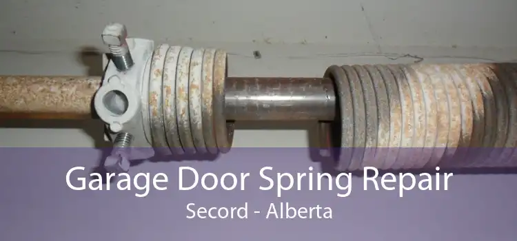 Garage Door Spring Repair Secord - Alberta