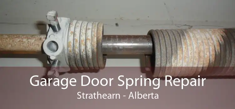 Garage Door Spring Repair Strathearn - Alberta