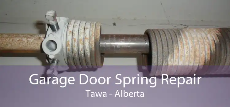 Garage Door Spring Repair Tawa - Alberta