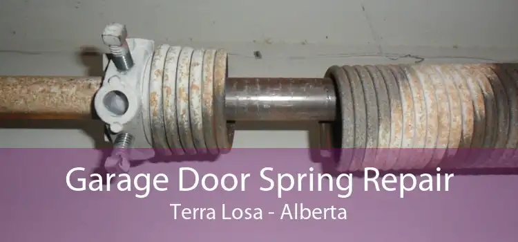 Garage Door Spring Repair Terra Losa - Alberta