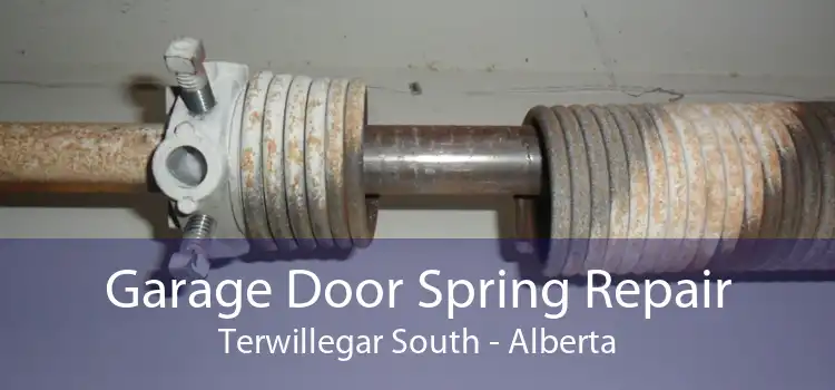 Garage Door Spring Repair Terwillegar South - Alberta