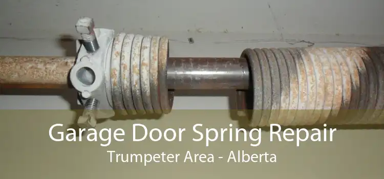 Garage Door Spring Repair Trumpeter Area - Alberta