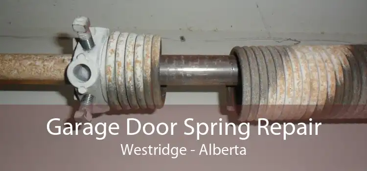 Garage Door Spring Repair Westridge - Alberta