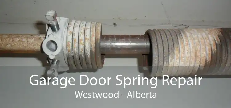 Garage Door Spring Repair Westwood - Alberta