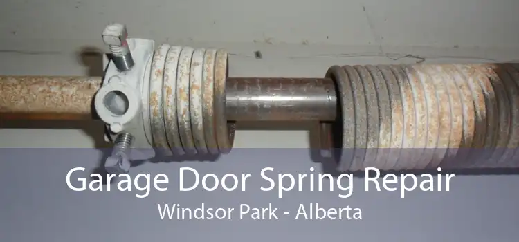 Garage Door Spring Repair Windsor Park - Alberta