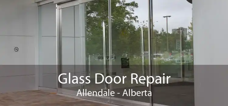 Glass Door Repair Allendale - Alberta