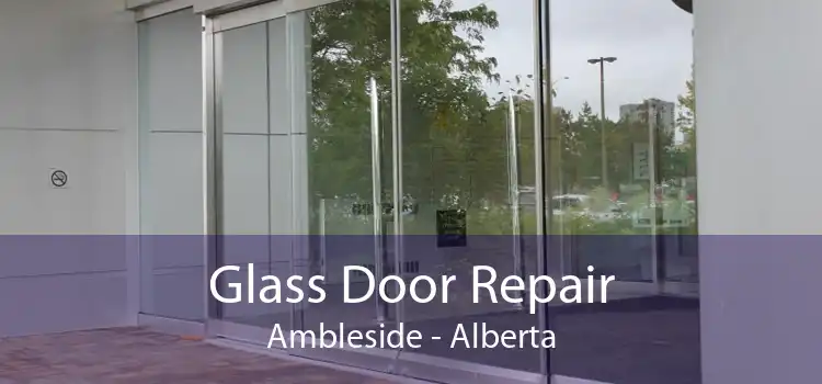 Glass Door Repair Ambleside - Alberta