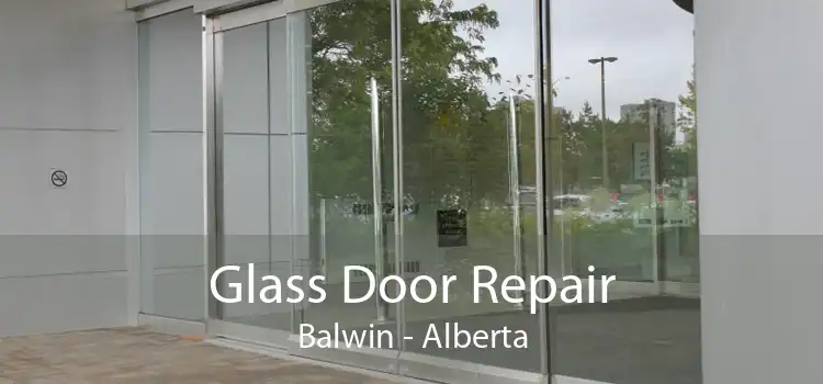 Glass Door Repair Balwin - Alberta