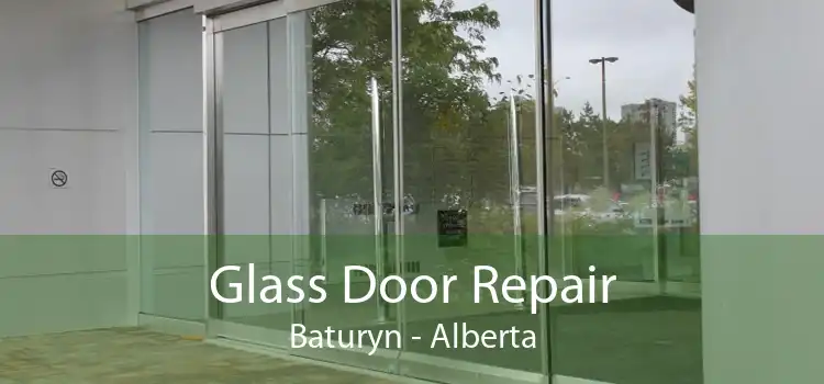 Glass Door Repair Baturyn - Alberta