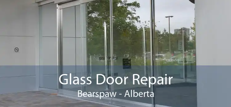 Glass Door Repair Bearspaw - Alberta