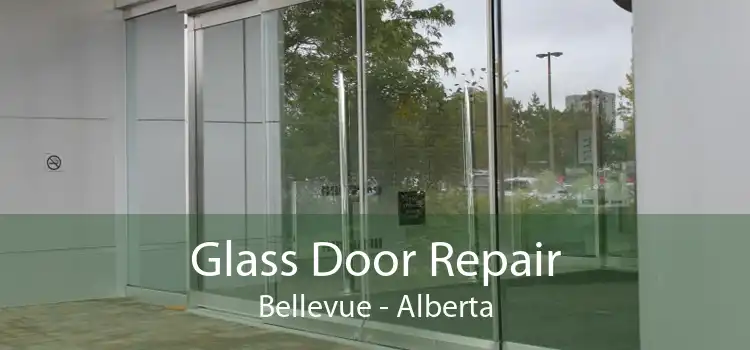 Glass Door Repair Bellevue - Alberta