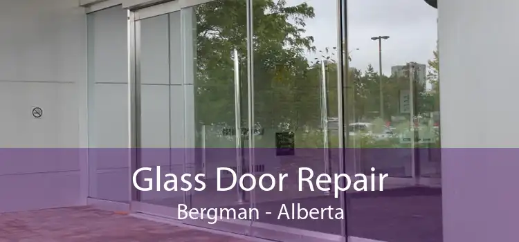 Glass Door Repair Bergman - Alberta