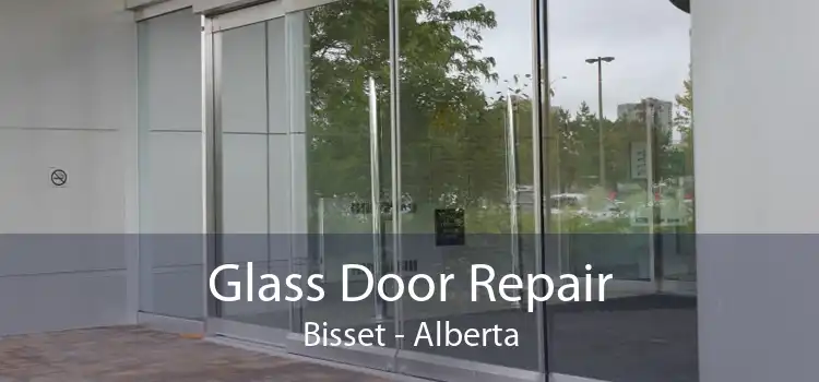 Glass Door Repair Bisset - Alberta