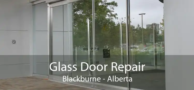 Glass Door Repair Blackburne - Alberta