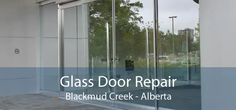 Glass Door Repair Blackmud Creek - Alberta