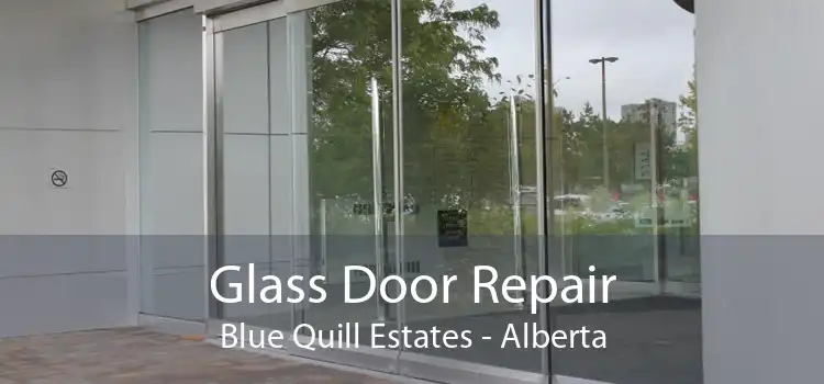 Glass Door Repair Blue Quill Estates - Alberta