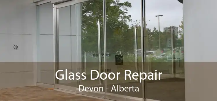 Glass Door Repair Devon - Alberta