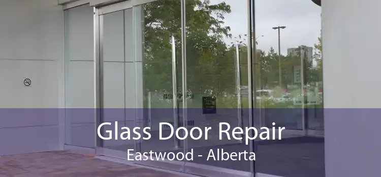 Glass Door Repair Eastwood - Alberta