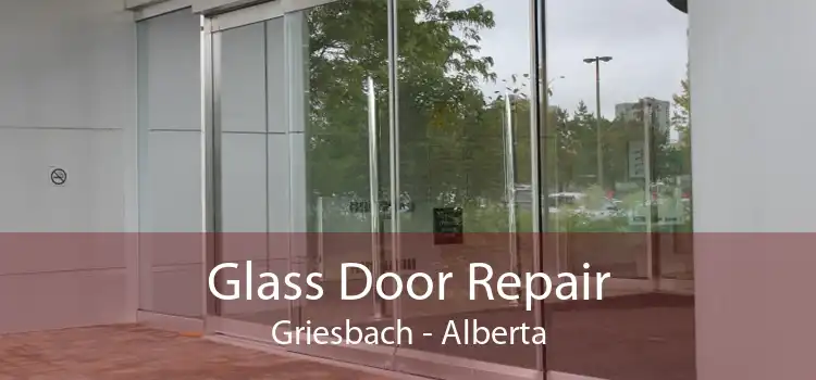 Glass Door Repair Griesbach - Alberta