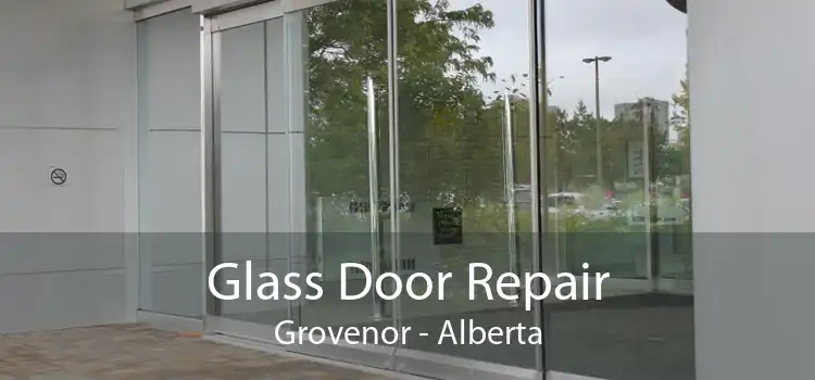 Glass Door Repair Grovenor - Alberta