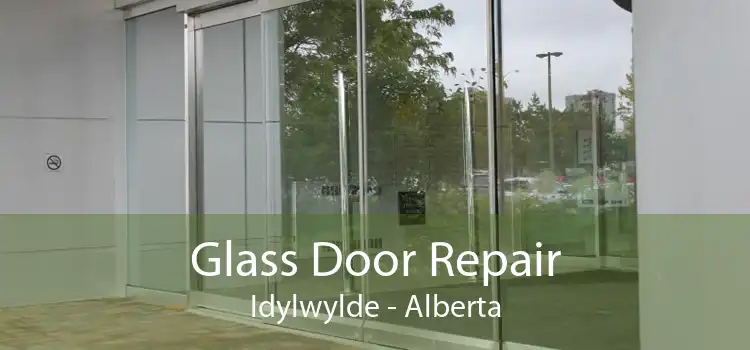 Glass Door Repair Idylwylde - Alberta