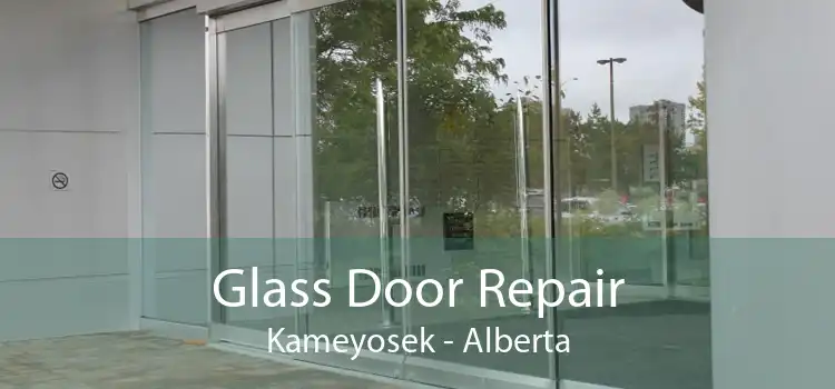 Glass Door Repair Kameyosek - Alberta