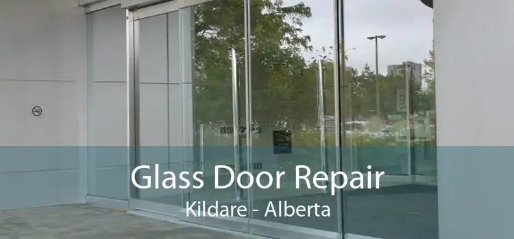 Glass Door Repair Kildare - Alberta