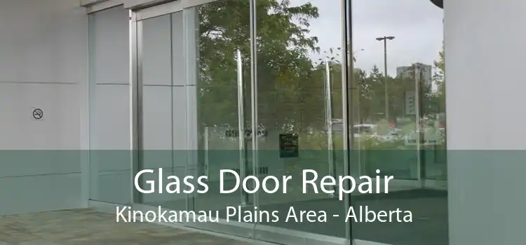 Glass Door Repair Kinokamau Plains Area - Alberta