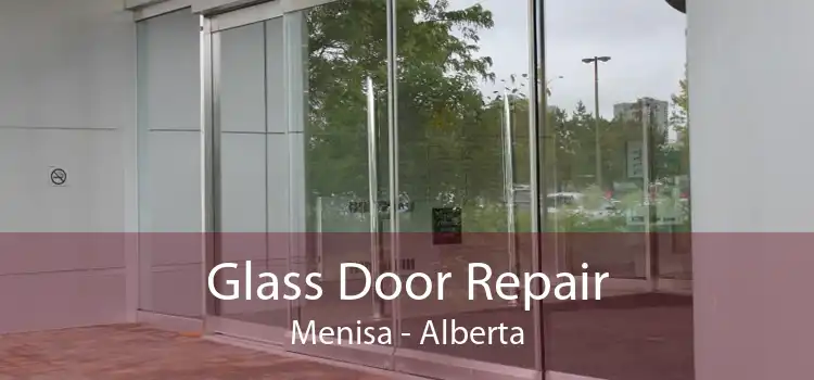 Glass Door Repair Menisa - Alberta