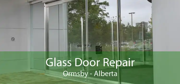 Glass Door Repair Ormsby - Alberta