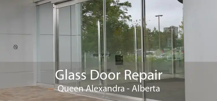 Glass Door Repair Queen Alexandra - Alberta