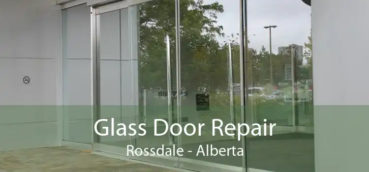 Glass Door Repair Rossdale - Alberta