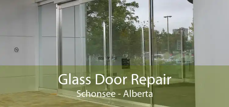 Glass Door Repair Schonsee - Alberta