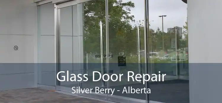 Glass Door Repair Silver Berry - Alberta