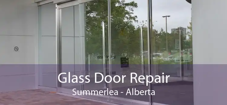 Glass Door Repair Summerlea - Alberta