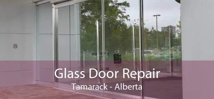 Glass Door Repair Tamarack - Alberta