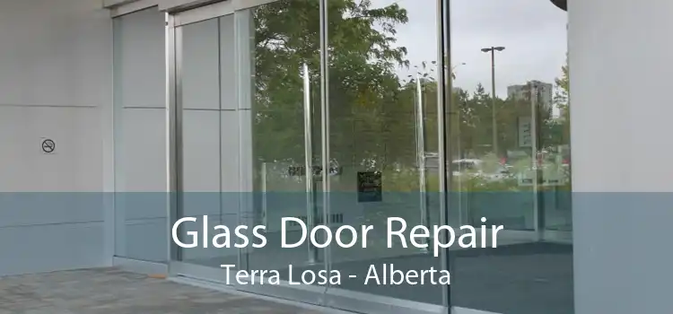 Glass Door Repair Terra Losa - Alberta