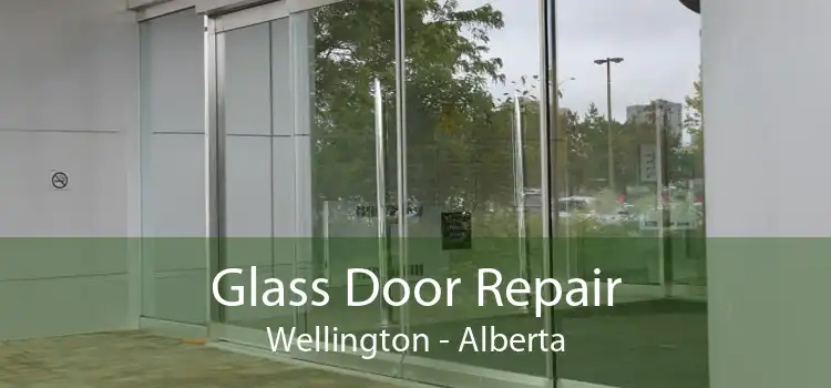 Glass Door Repair Wellington - Alberta