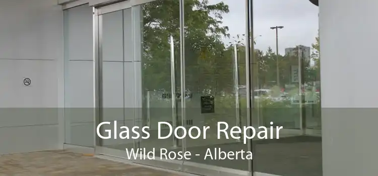 Glass Door Repair Wild Rose - Alberta