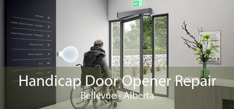 Handicap Door Opener Repair Bellevue - Alberta