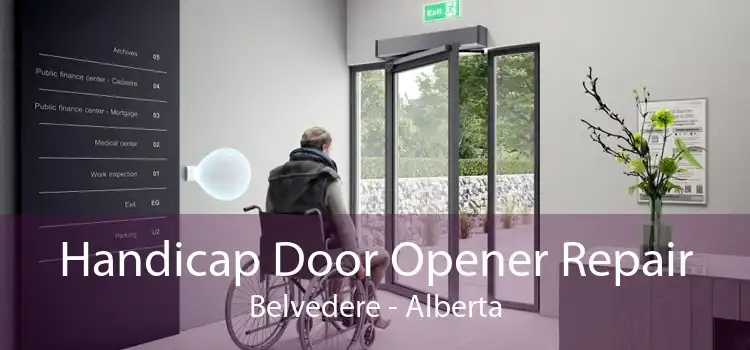 Handicap Door Opener Repair Belvedere - Alberta